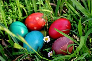 Życzenia świąteczne